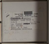 Image Associated With the Occurence